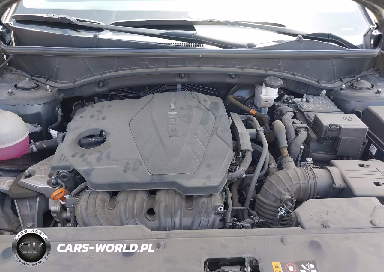 2024 Hyundai Tucson Sel VIN:5NMJB3DE2RH300917 - 10