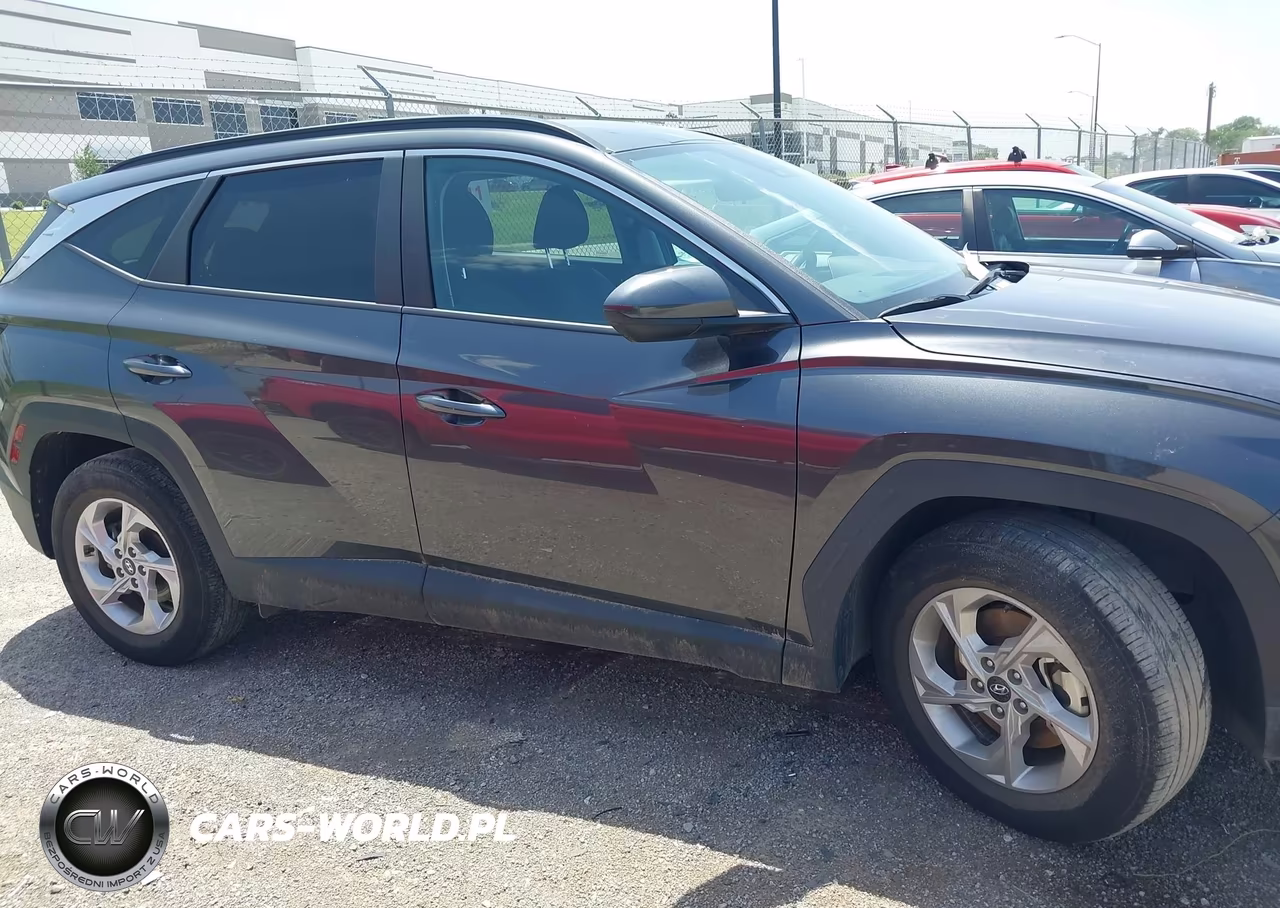 2024 Hyundai Tucson Sel VIN:5NMJB3DE2RH300917 - 13