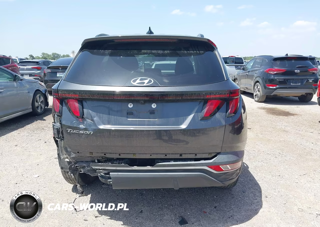2024 Hyundai Tucson Sel VIN:5NMJB3DE2RH300917 - 16