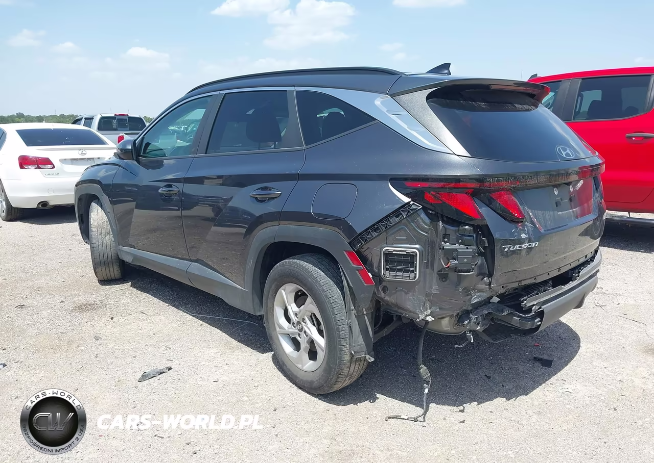 2024 Hyundai Tucson Sel VIN:5NMJB3DE2RH300917 - 3
