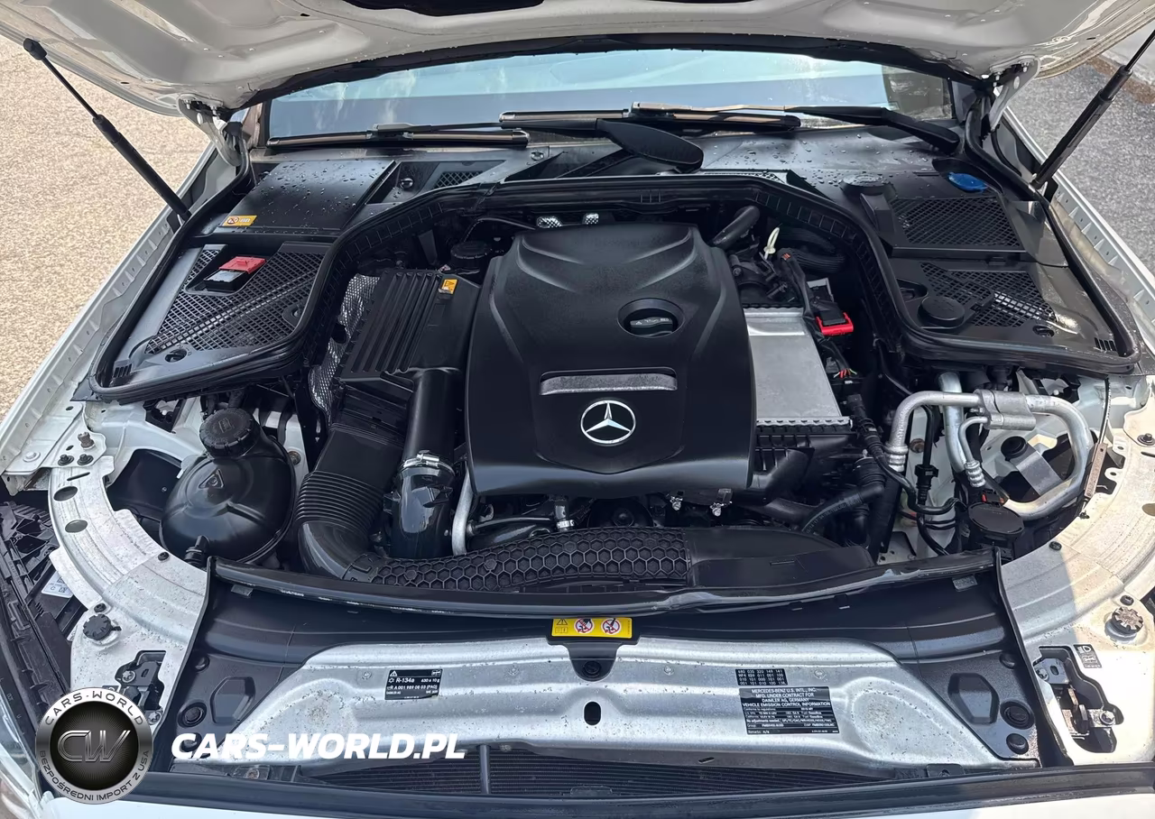 2015 Mercedes-Benz C 300 4Matic VIN:55SWF4KB9FU000313 - 10