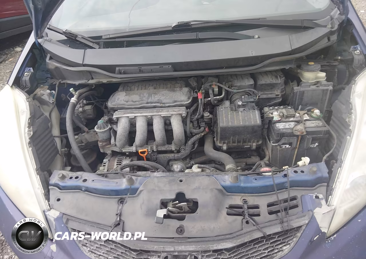2010 Honda Fit Sport VIN:JHMGE8H43AS011245 - 10