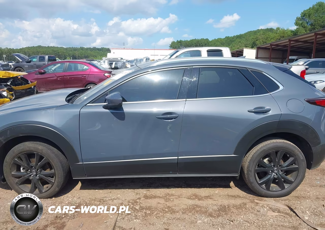 2021 Mazda Cx-30 Premium VIN:3MVDMADM7MM225459 - 14