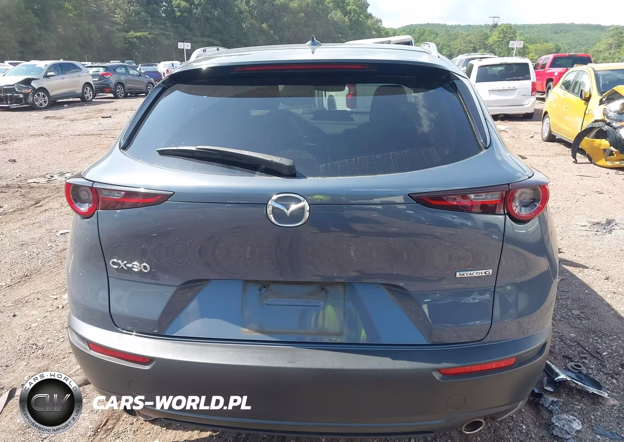 2021 Mazda Cx-30 Premium VIN:3MVDMADM7MM225459 - 16