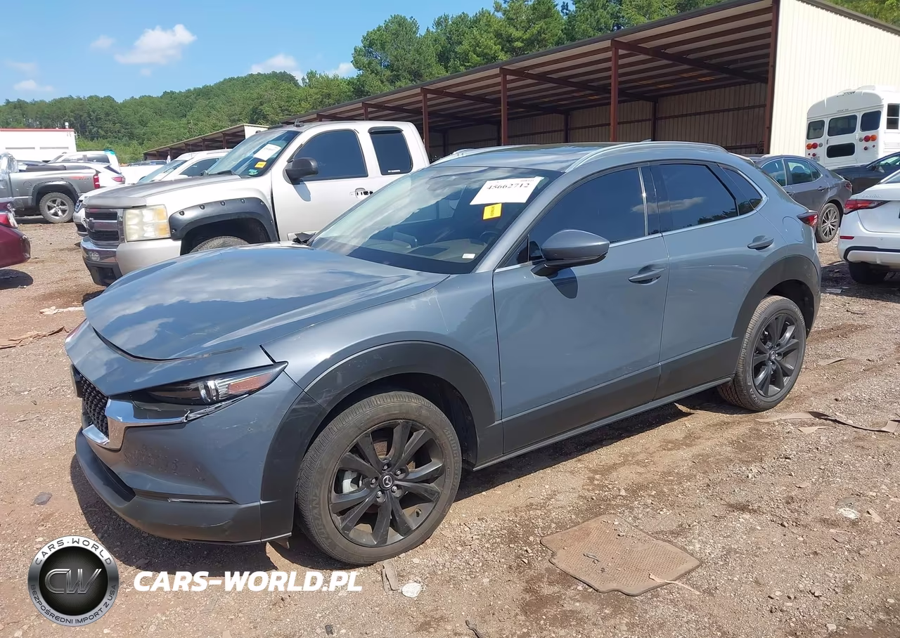 2021 Mazda Cx-30 Premium VIN:3MVDMADM7MM225459 - 2
