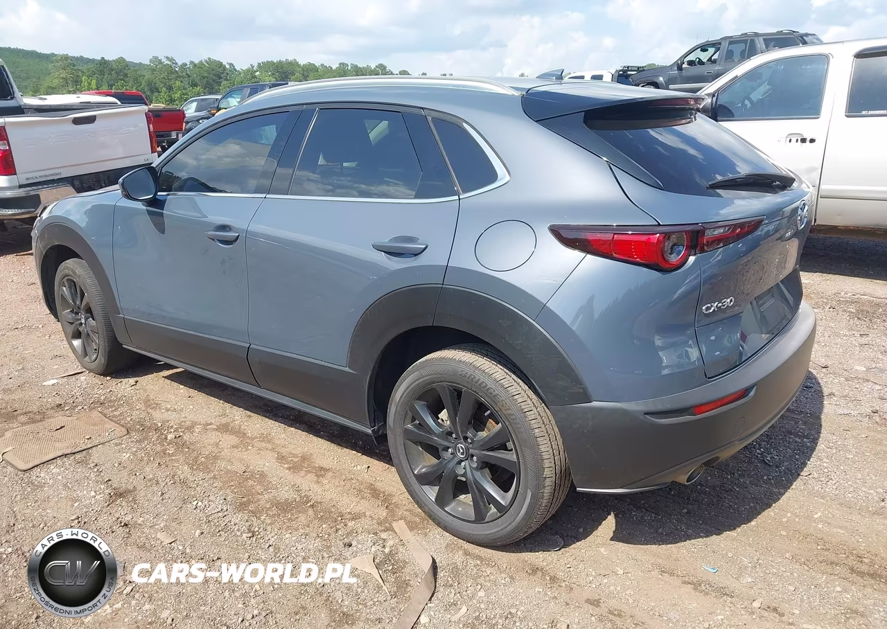 2021 Mazda Cx-30 Premium VIN:3MVDMADM7MM225459 - 3