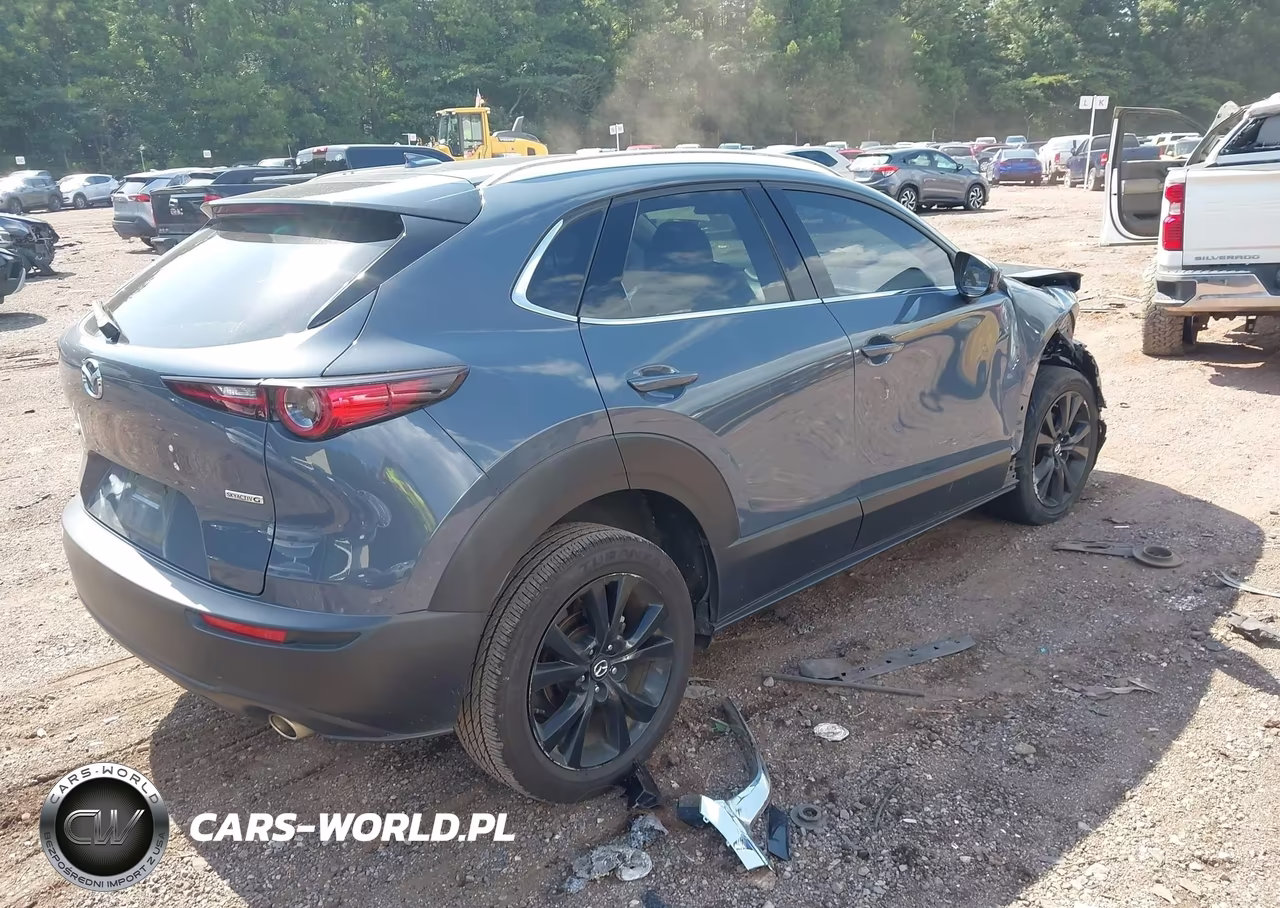 2021 Mazda Cx-30 Premium VIN:3MVDMADM7MM225459 - 4