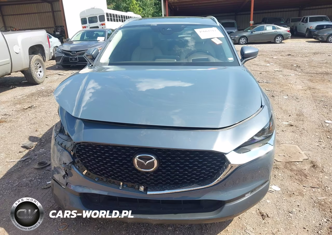 2021 Mazda Cx-30 Premium VIN:3MVDMADM7MM225459 - 6