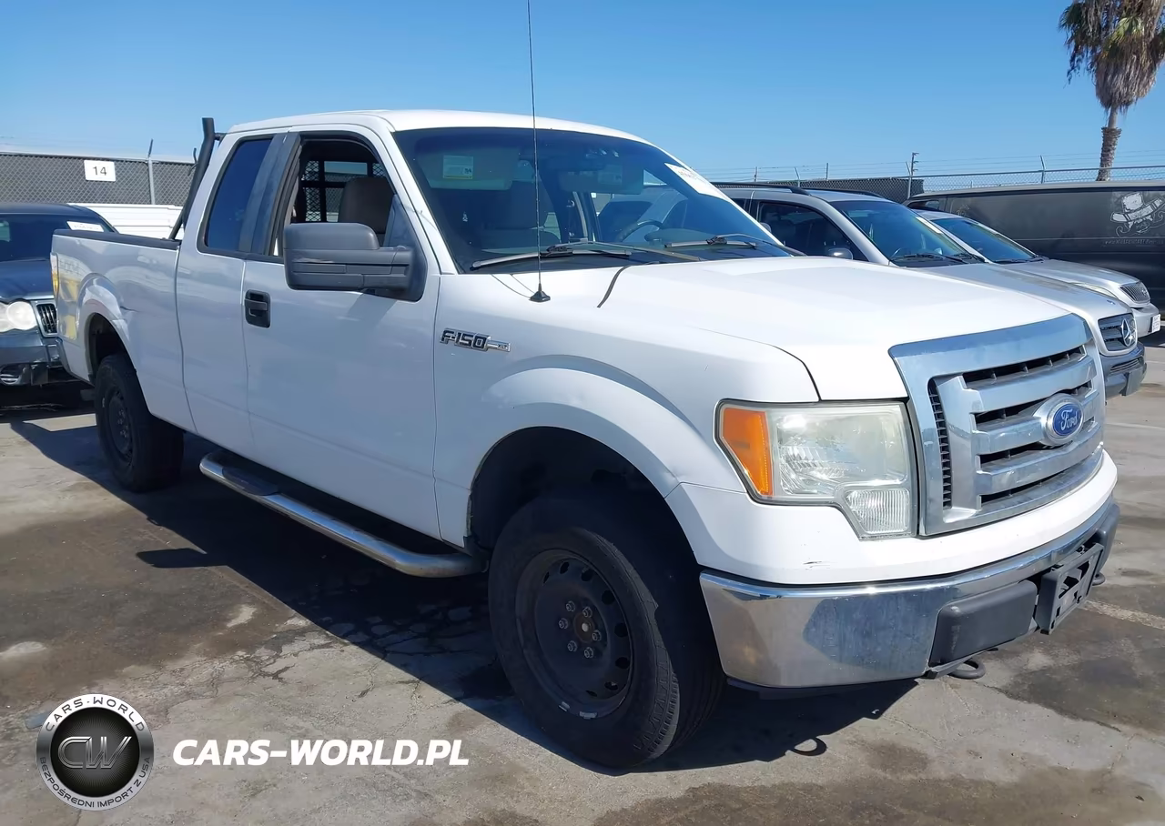 2010 Ford F-150 Fx4-Lariat-Xl-Xlt VIN:1FTFX1EV3AFA48784 - 1