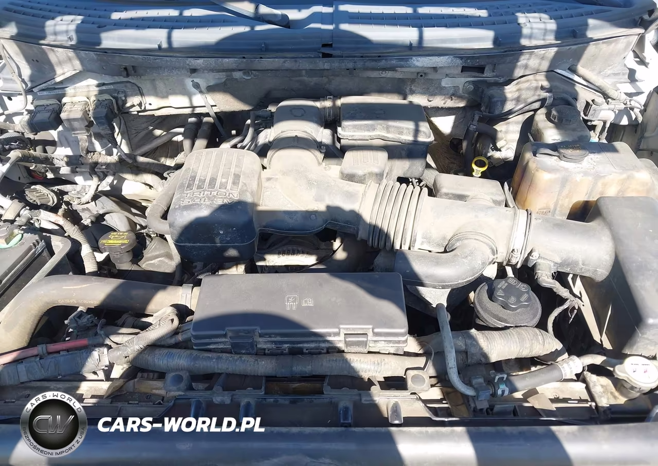 2010 Ford F-150 Fx4-Lariat-Xl-Xlt VIN:1FTFX1EV3AFA48784 - 10