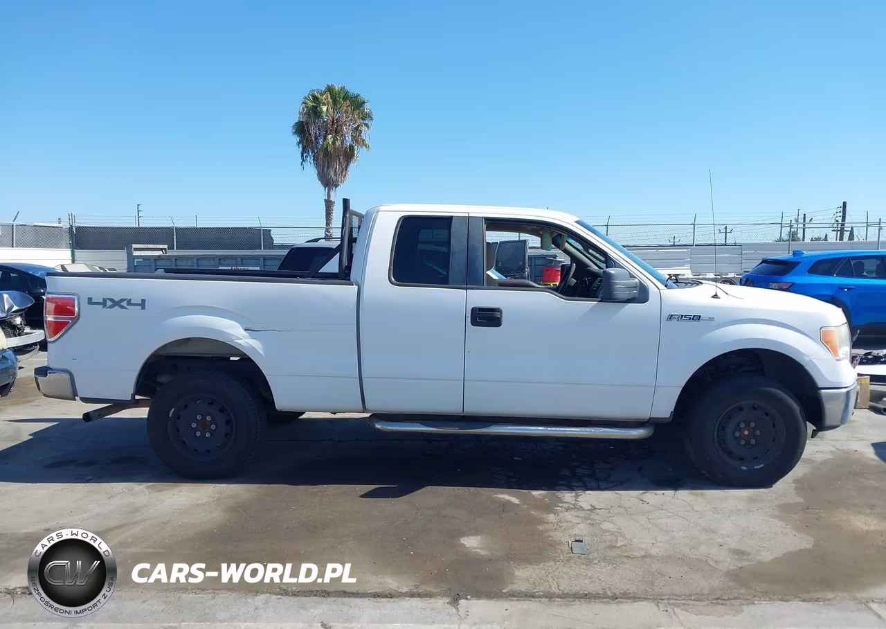 2010 Ford F-150 Fx4-Lariat-Xl-Xlt VIN:1FTFX1EV3AFA48784 - 13