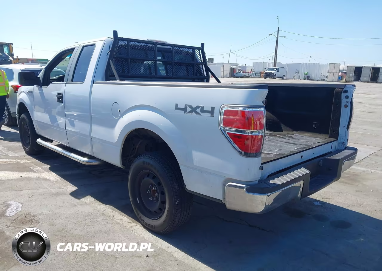 2010 Ford F-150 Fx4-Lariat-Xl-Xlt VIN:1FTFX1EV3AFA48784 - 3