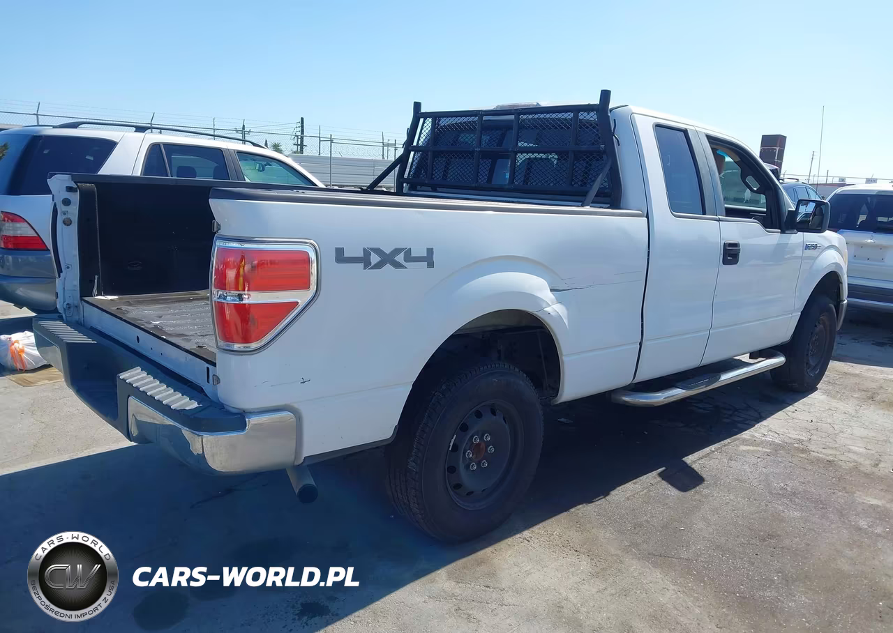 2010 Ford F-150 Fx4-Lariat-Xl-Xlt VIN:1FTFX1EV3AFA48784 - 4