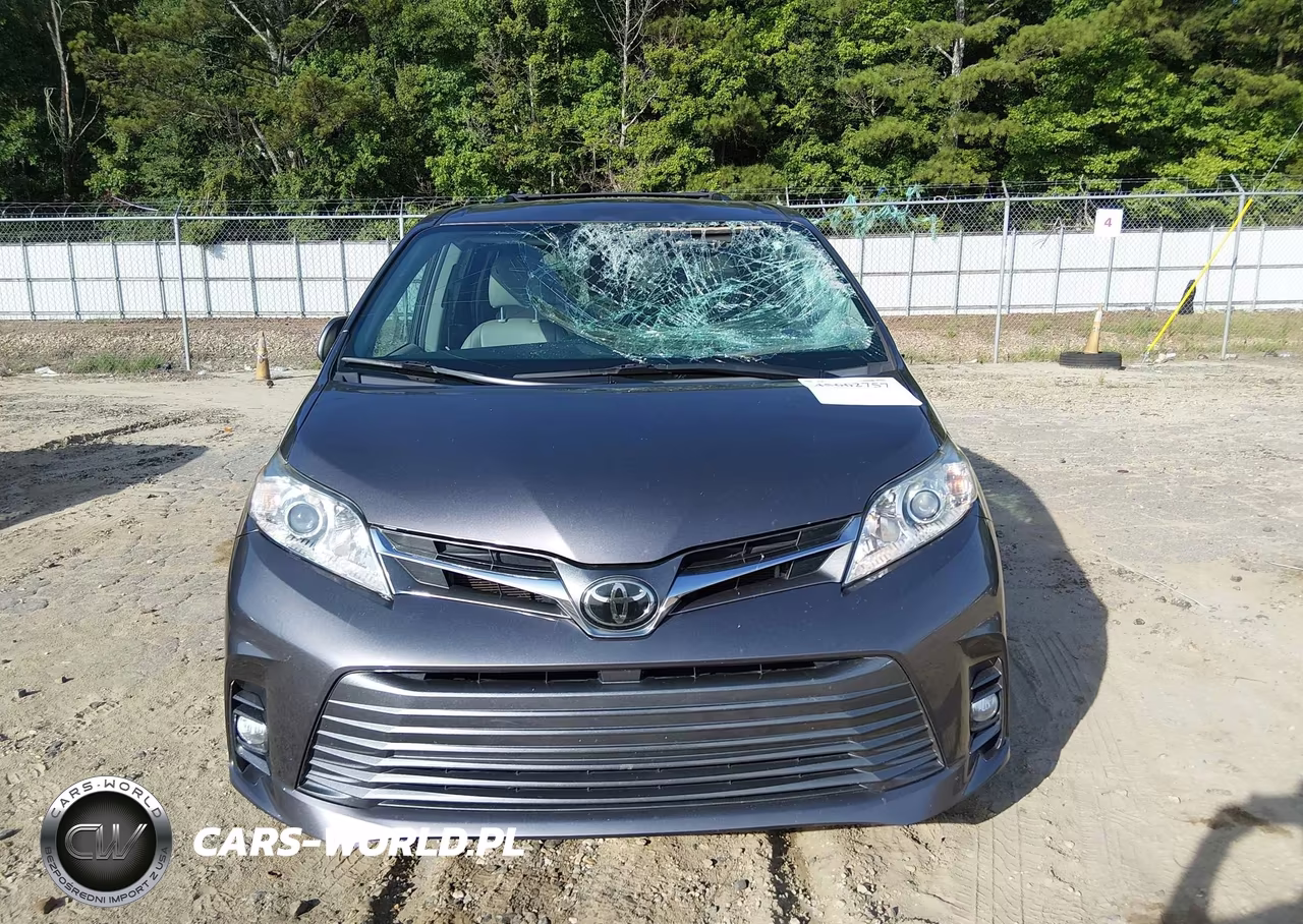 2019 Toyota Sienna Xle 8 Passenger VIN:5TDYZ3DC7KS996606 - 12
