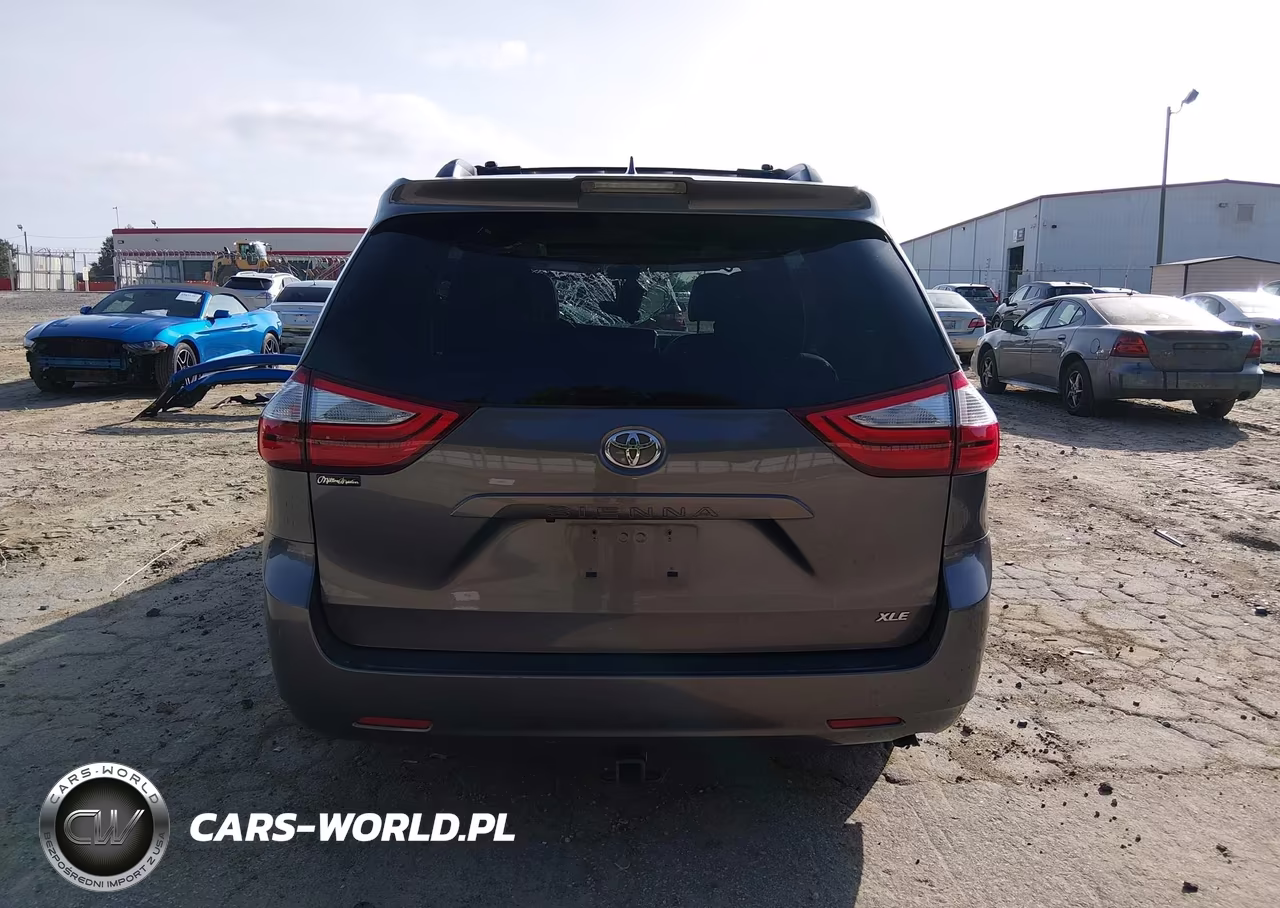 2019 Toyota Sienna Xle 8 Passenger VIN:5TDYZ3DC7KS996606 - 16