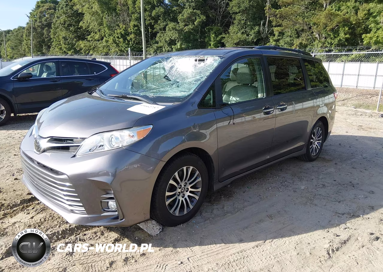 2019 Toyota Sienna Xle 8 Passenger VIN:5TDYZ3DC7KS996606 - 2