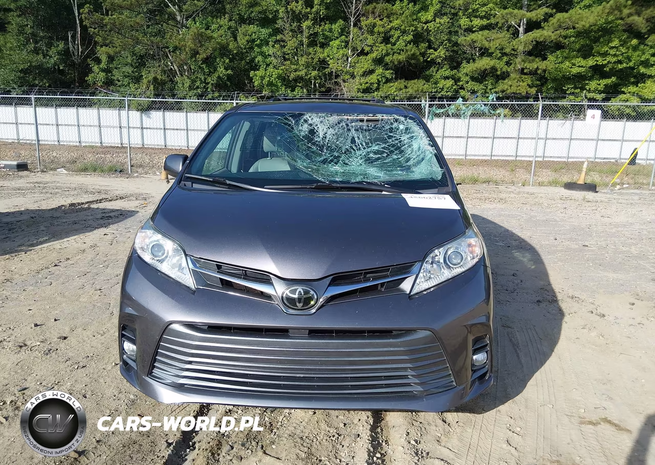 2019 Toyota Sienna Xle 8 Passenger VIN:5TDYZ3DC7KS996606 - 6