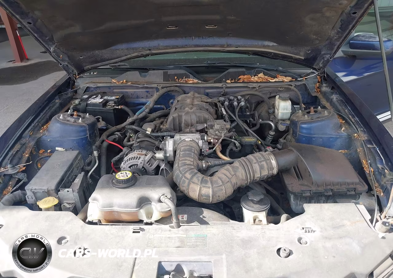 2010 Ford Mustang V6-V6 Premium VIN:1ZVBP8AN9A5123858 - 10