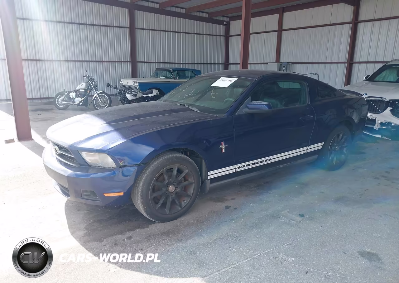 2010 Ford Mustang V6-V6 Premium VIN:1ZVBP8AN9A5123858 - 2