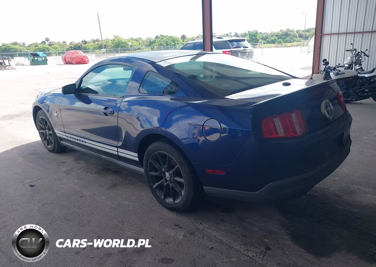 2010 Ford Mustang V6-V6 Premium VIN:1ZVBP8AN9A5123858 - 3