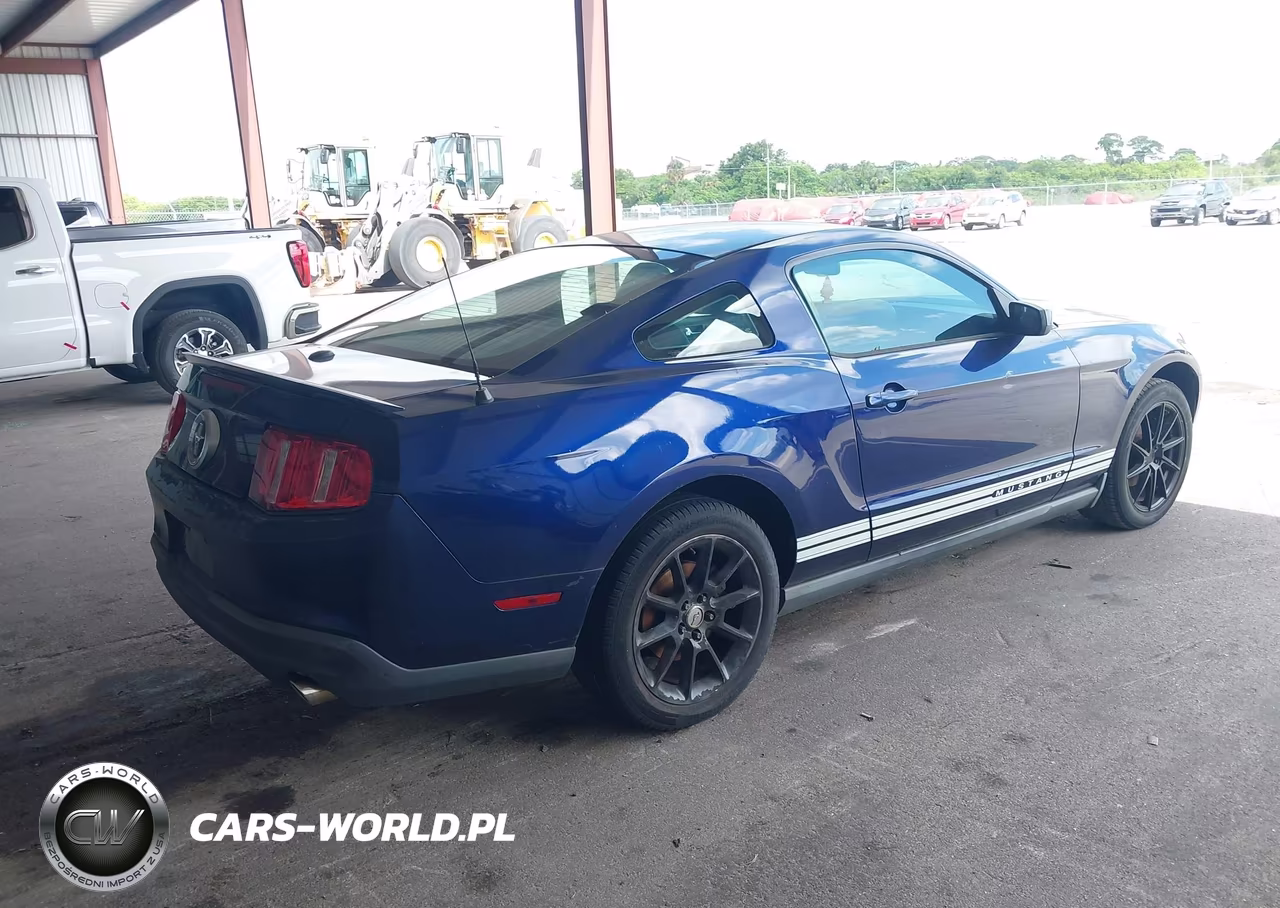 2010 Ford Mustang V6-V6 Premium VIN:1ZVBP8AN9A5123858 - 4