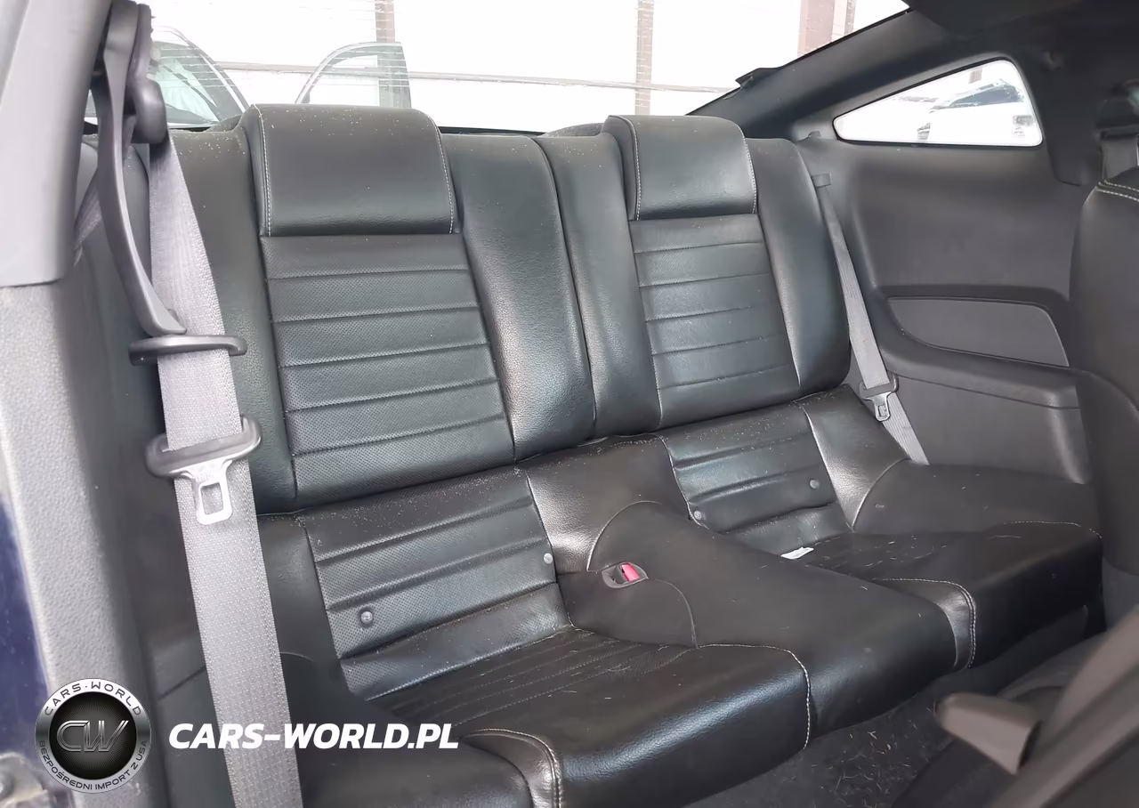 2010 Ford Mustang V6-V6 Premium VIN:1ZVBP8AN9A5123858 - 8