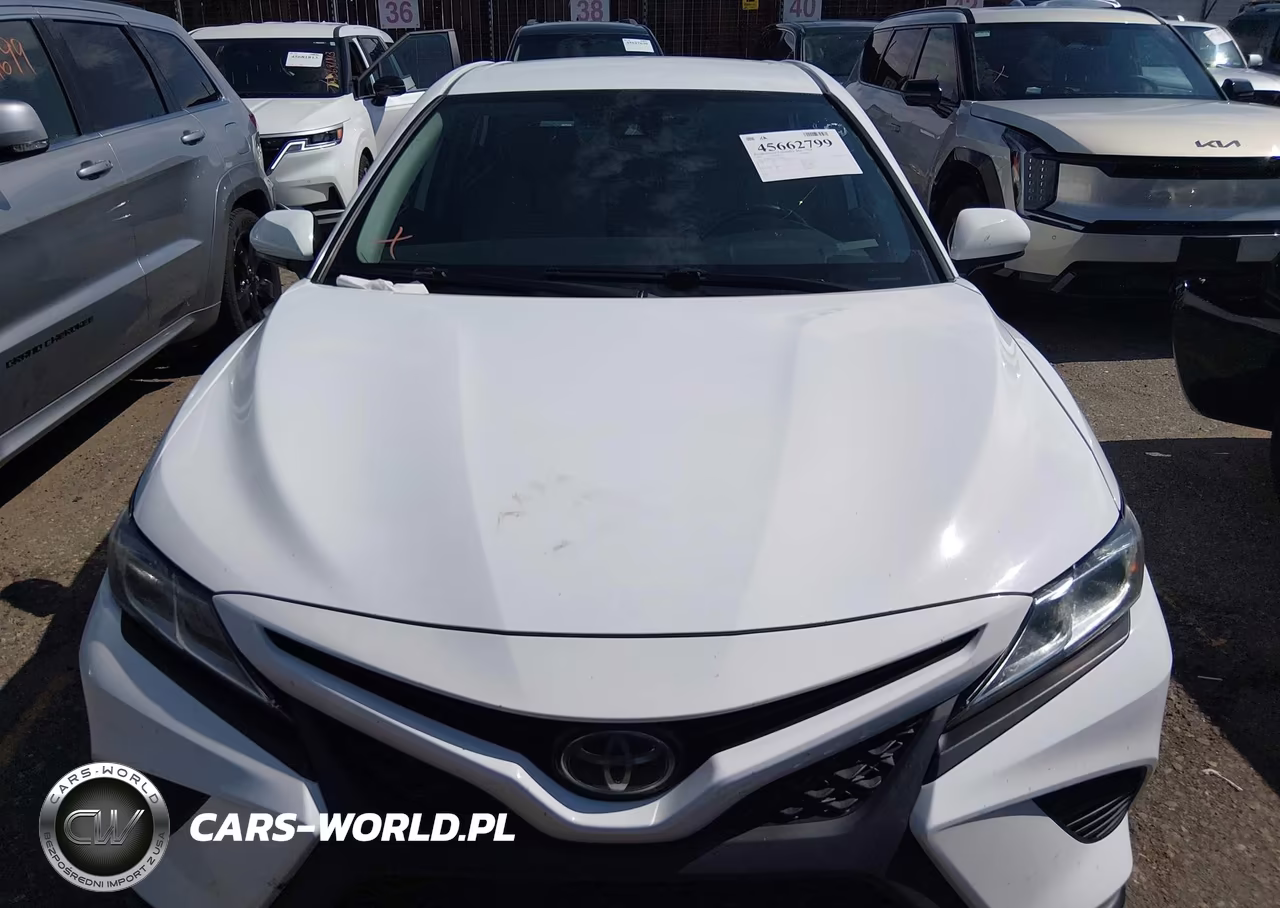 2019 Toyota Camry Se VIN:4T1B11HK2KU810237 - 12