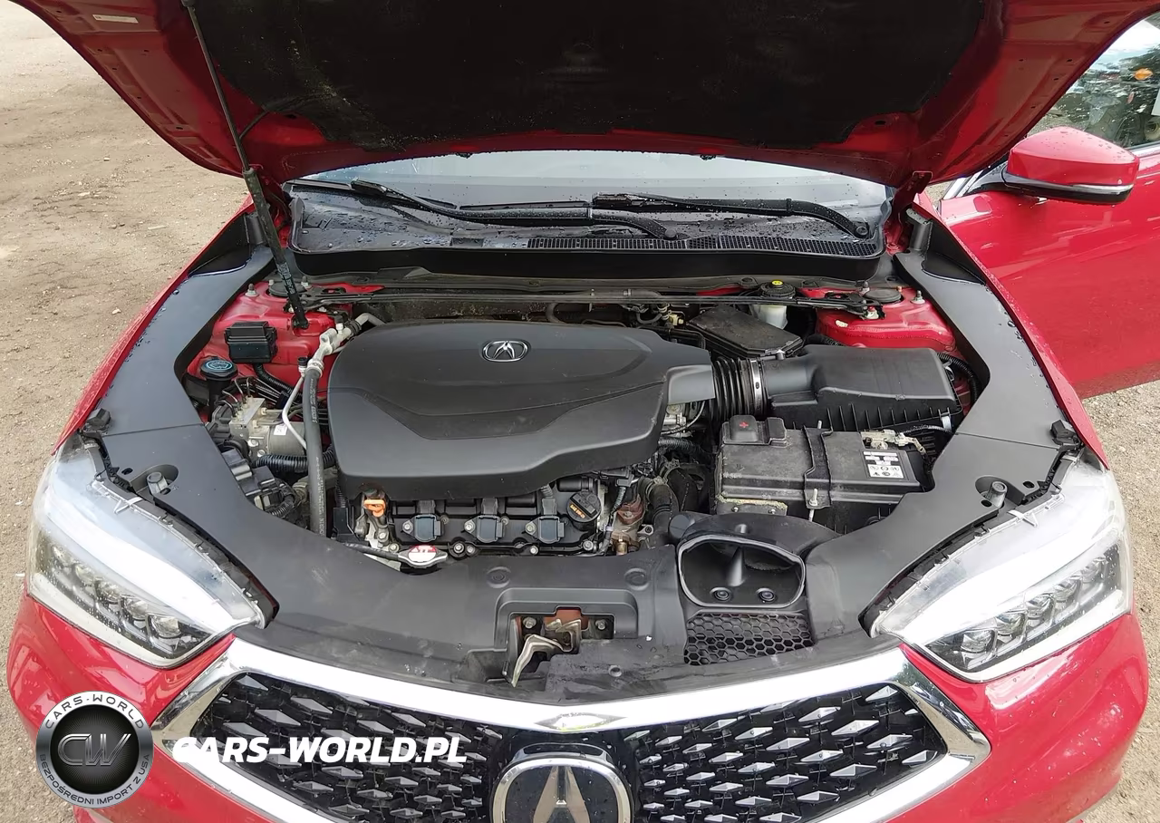 2019 Acura Tlx Advance Pkg VIN:19UUB3F81KA005880 - 10
