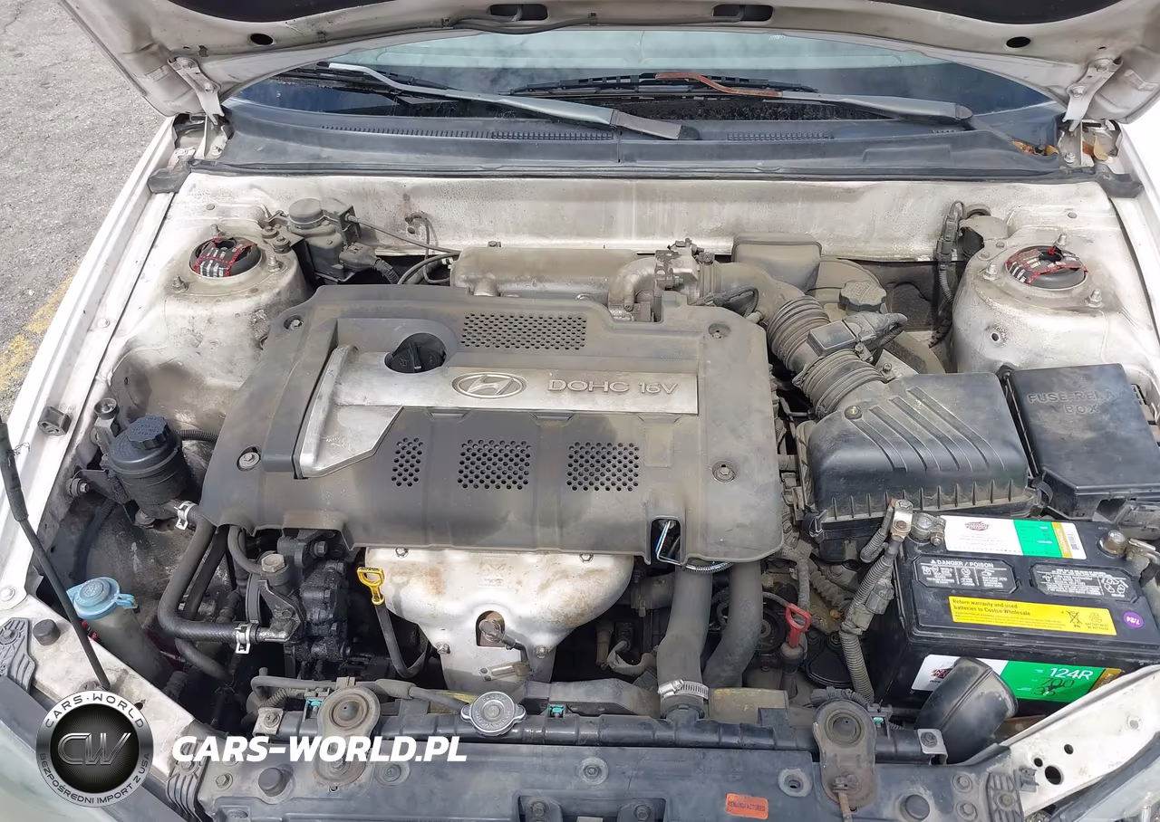 2004 Hyundai Elantra Gls-Gt VIN:KMHDN46D54U861978 - 10