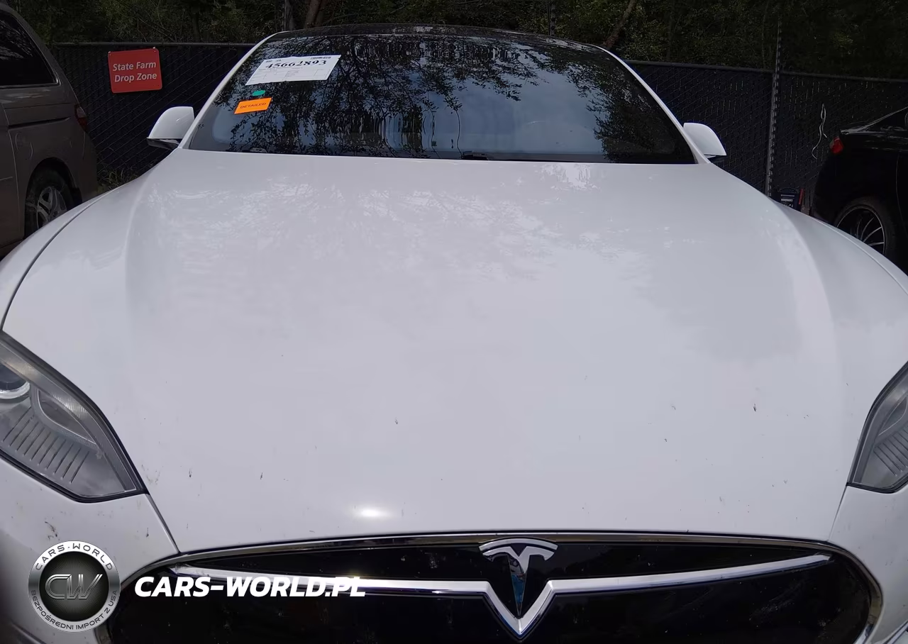 2015 Tesla Model S 70D-85D-P85D VIN:5YJSA1E21FF112046 - 10