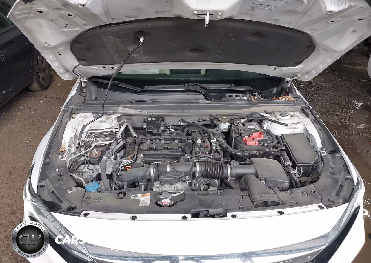 2021 Honda Accord Ex-L VIN:1HGCV1F58MA062397 - 10