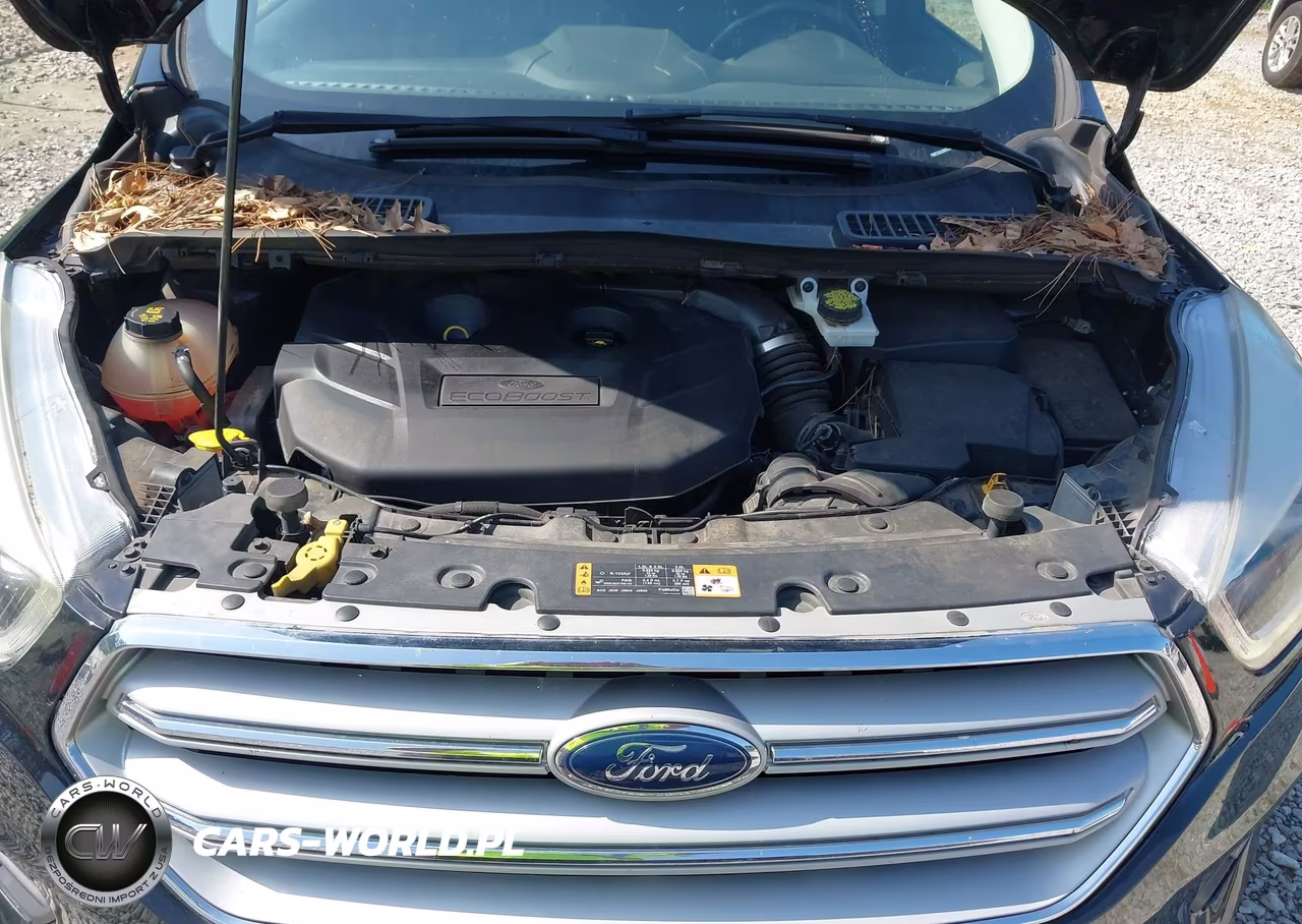 2019 Ford Escape Titanium VIN:1FMCU0J99KUA67833 - 10