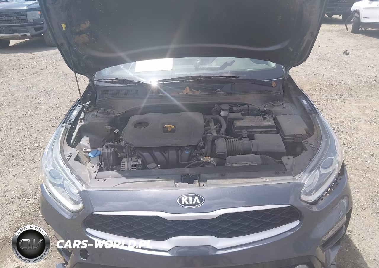 2021 Kia Forte Lxs VIN:3KPF24AD5ME309165 - 10