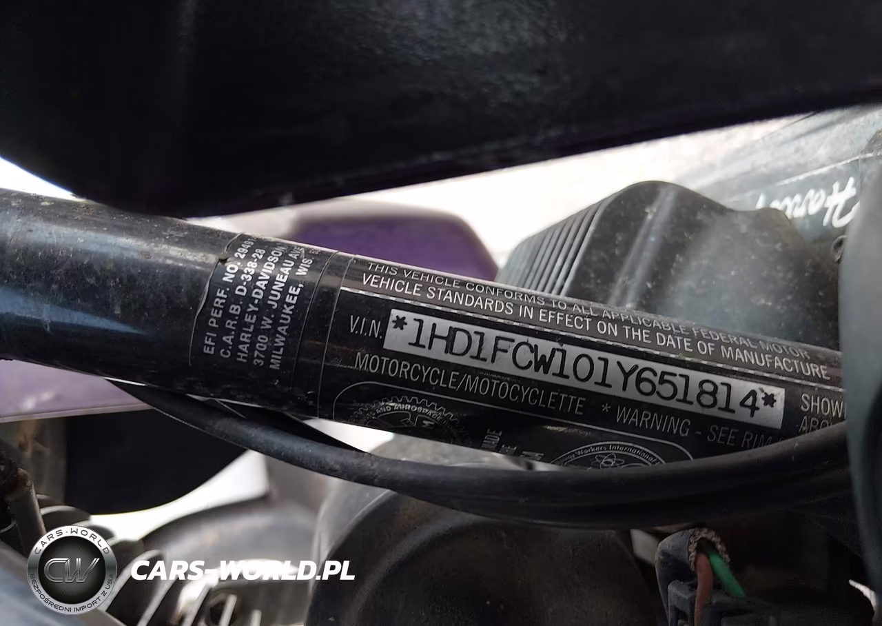2001 Harley-Davidson Flhtcui VIN:1HD1FCW101Y651814 - 10