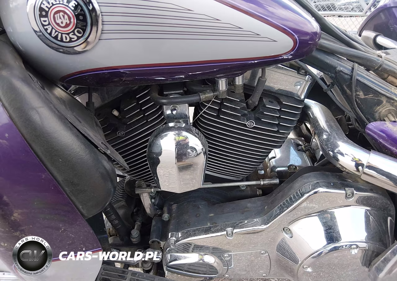 2001 Harley-Davidson Flhtcui VIN:1HD1FCW101Y651814 - 9