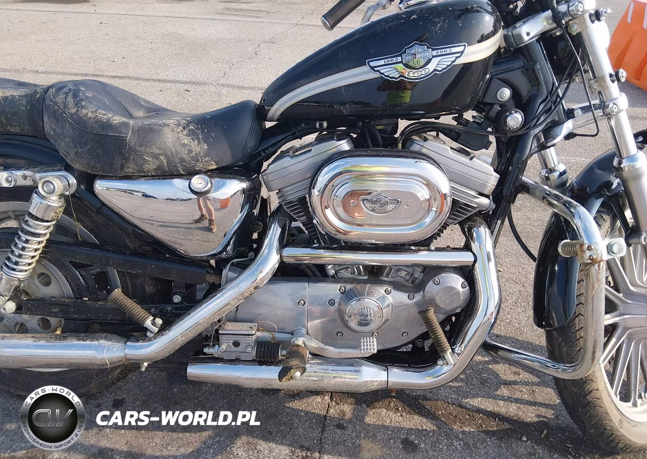 2003 Harley-Davidson Xl883 Hugger VIN:1HD4CEM193K432313 - 8
