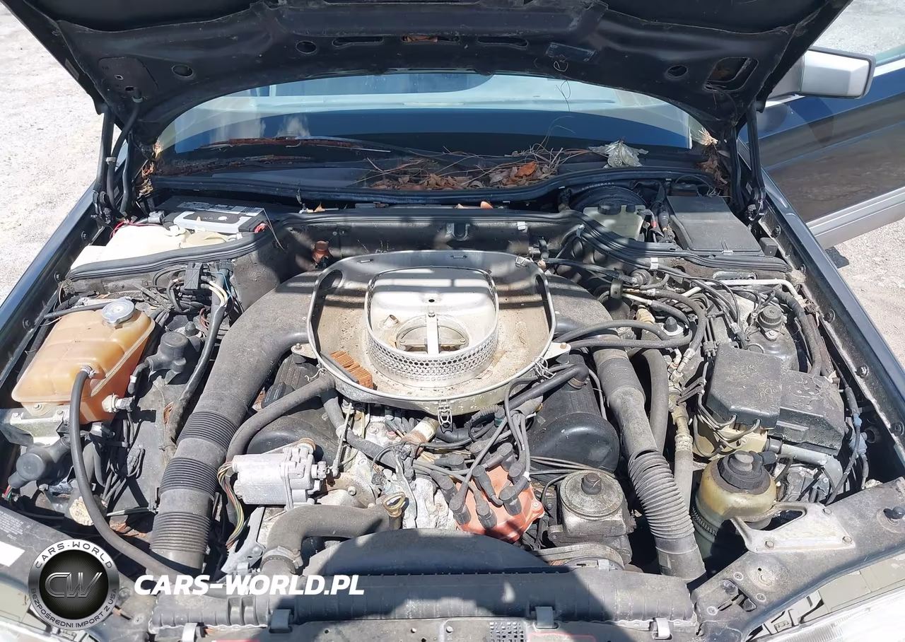 1991 Mercedes-Benz 560 Sel VIN:WDBCA39EXMA602879 - 10