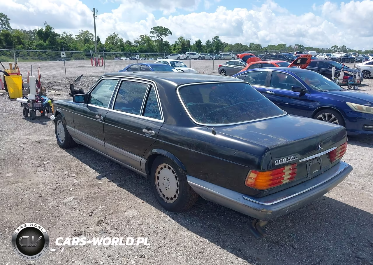 1991 Mercedes-Benz 560 Sel VIN:WDBCA39EXMA602879 - 3