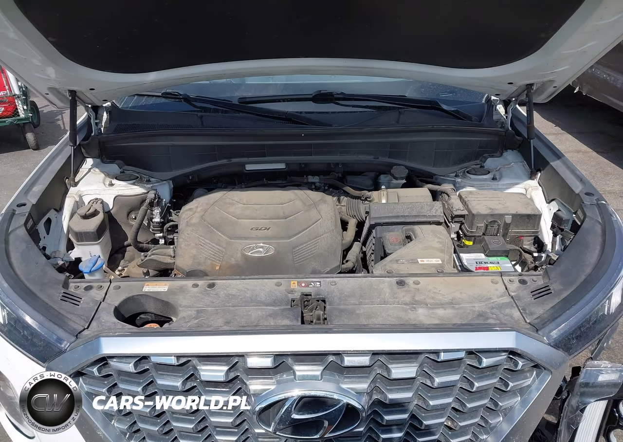 2021 Hyundai Palisade Limited VIN:KM8R5DHEXMU210860 - 10