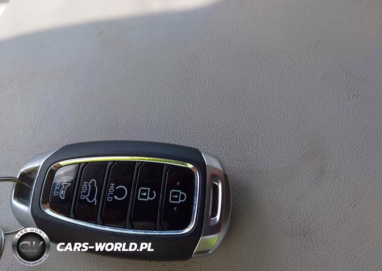 2021 Hyundai Palisade Limited VIN:KM8R5DHEXMU210860 - 11