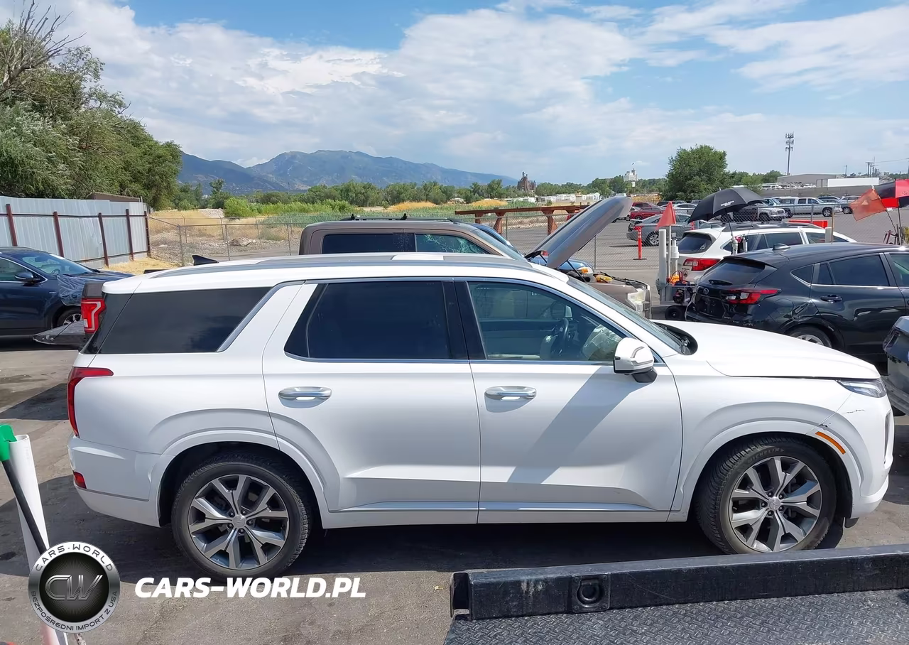 2021 Hyundai Palisade Limited VIN:KM8R5DHEXMU210860 - 13