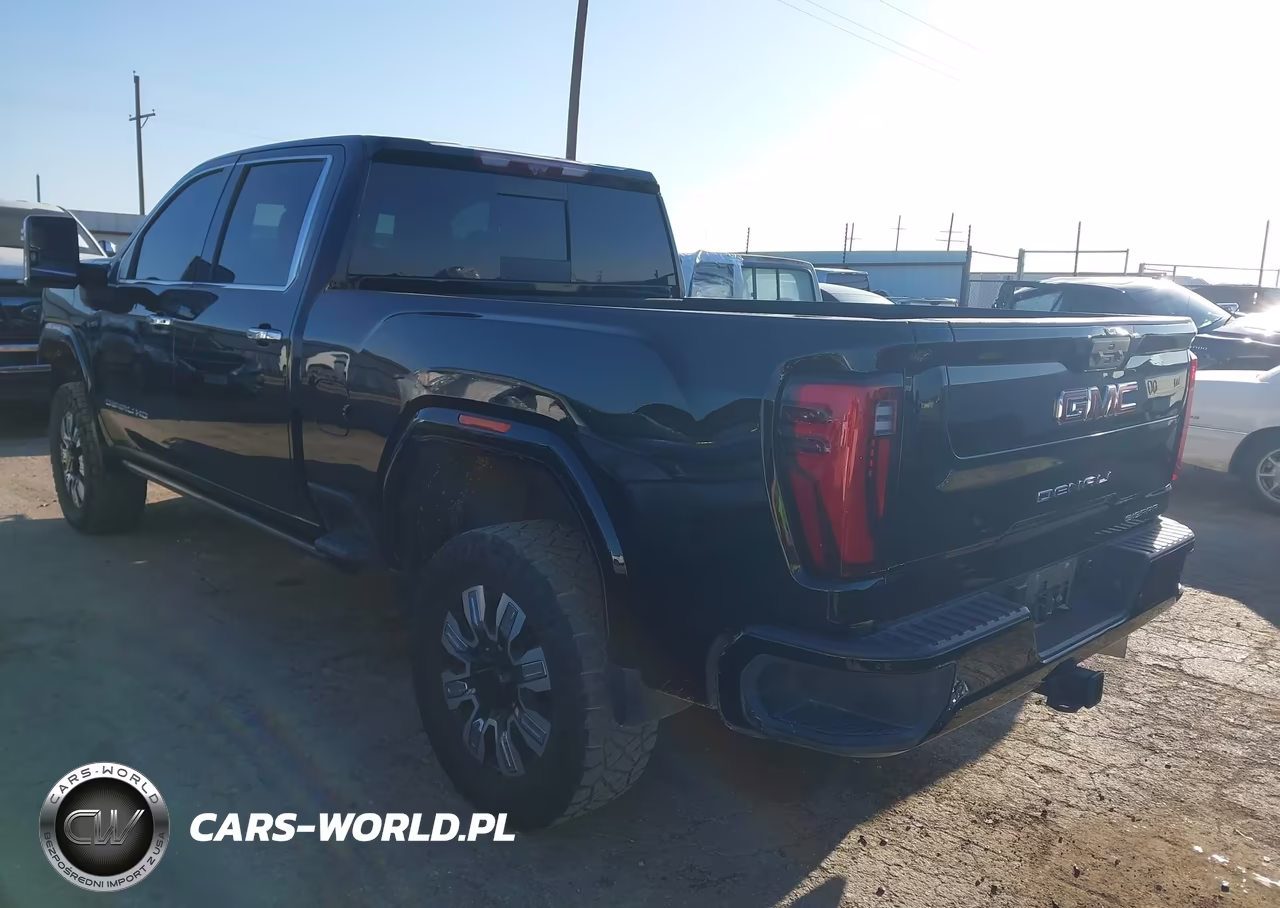 2025 GMC Sierra 2500Hd 4Wd Standard Bed Denali VIN:1GT4UREY4SF193651 - 3