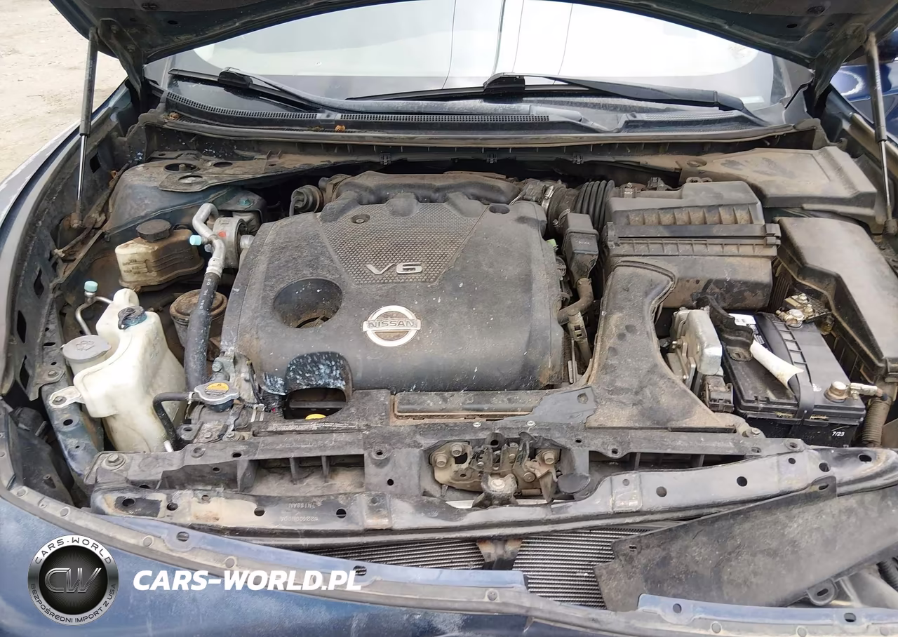 2009 Nissan Maxima 3.5 Sv VIN:1N4AA51E49C844892 - 10