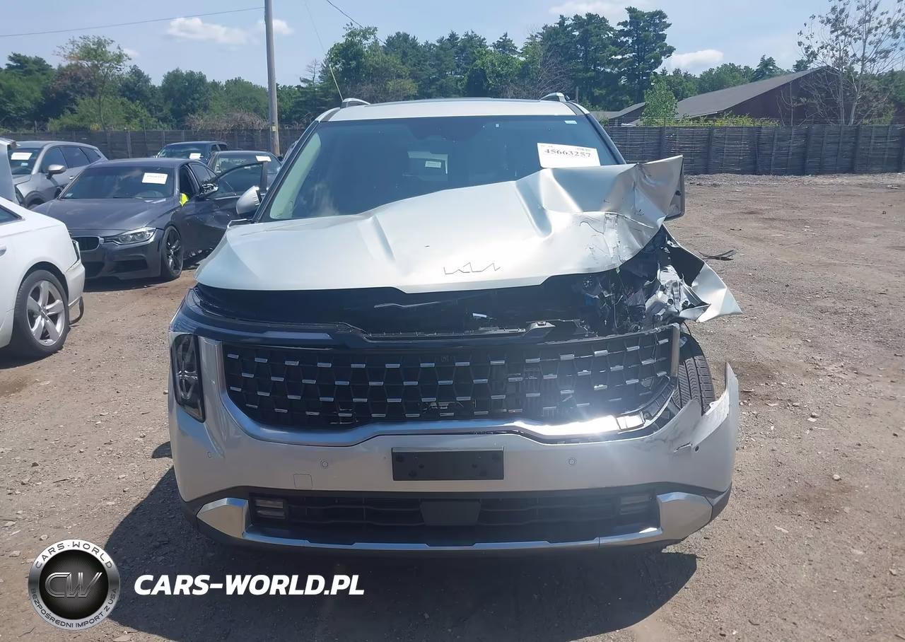 2025 Kia Carnival Mpv Hybrid Sx VIN:KNDNE5KA1S6052179 - 12