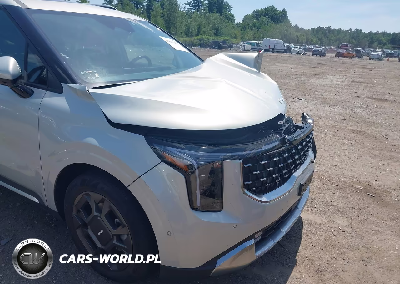 2025 Kia Carnival Mpv Hybrid Sx VIN:KNDNE5KA1S6052179 - 18