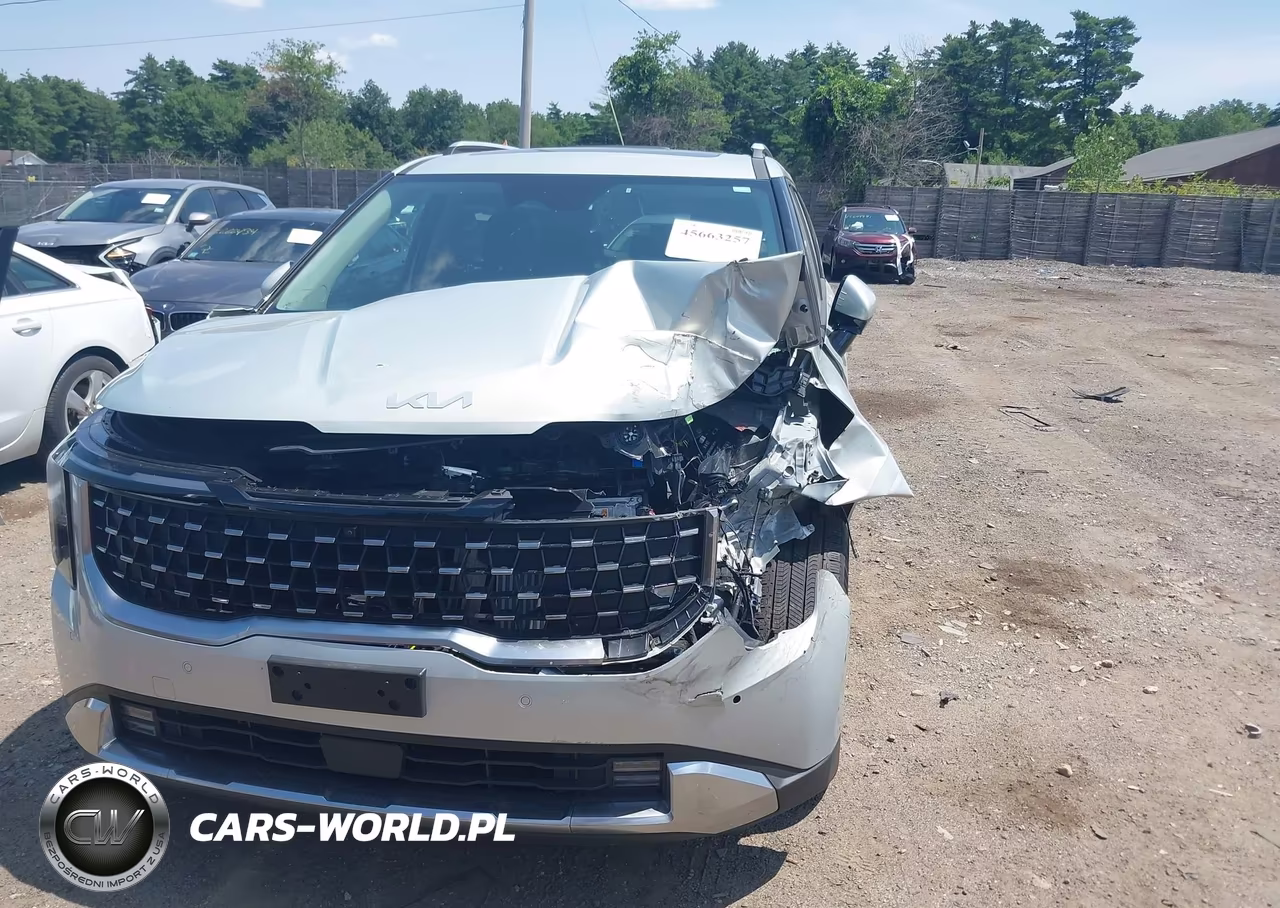 2025 Kia Carnival Mpv Hybrid Sx VIN:KNDNE5KA1S6052179 - 6