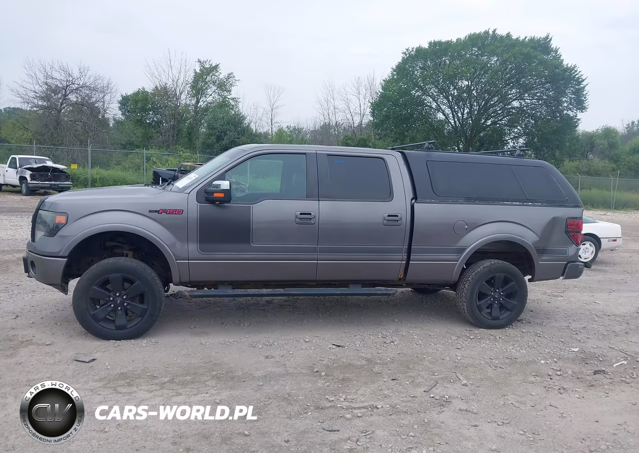 2013 Ford F-150 Fx4 VIN:1FTFW1ET4DFD12729 - 15