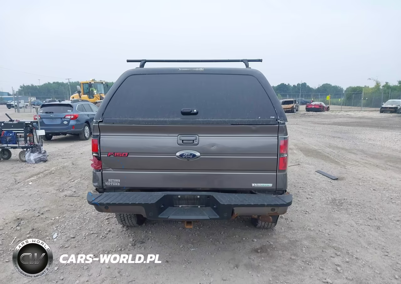 2013 Ford F-150 Fx4 VIN:1FTFW1ET4DFD12729 - 17