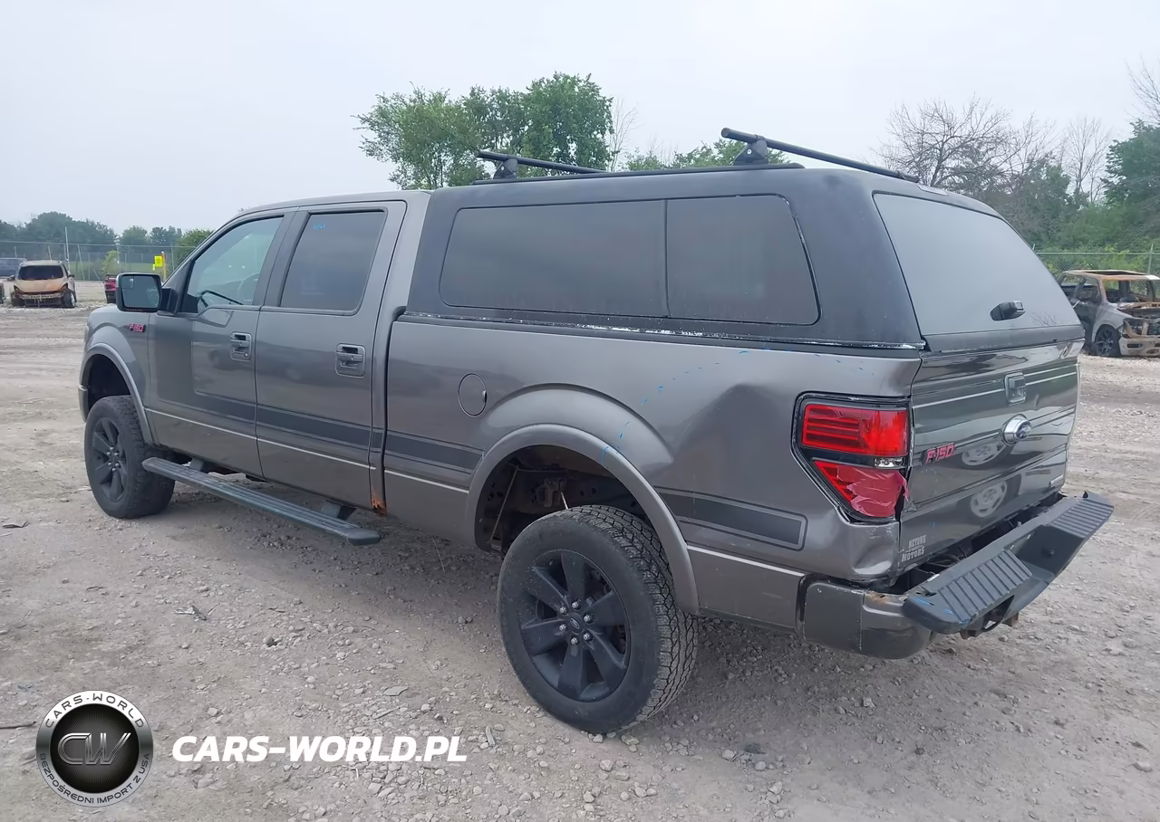 2013 Ford F-150 Fx4 VIN:1FTFW1ET4DFD12729 - 19