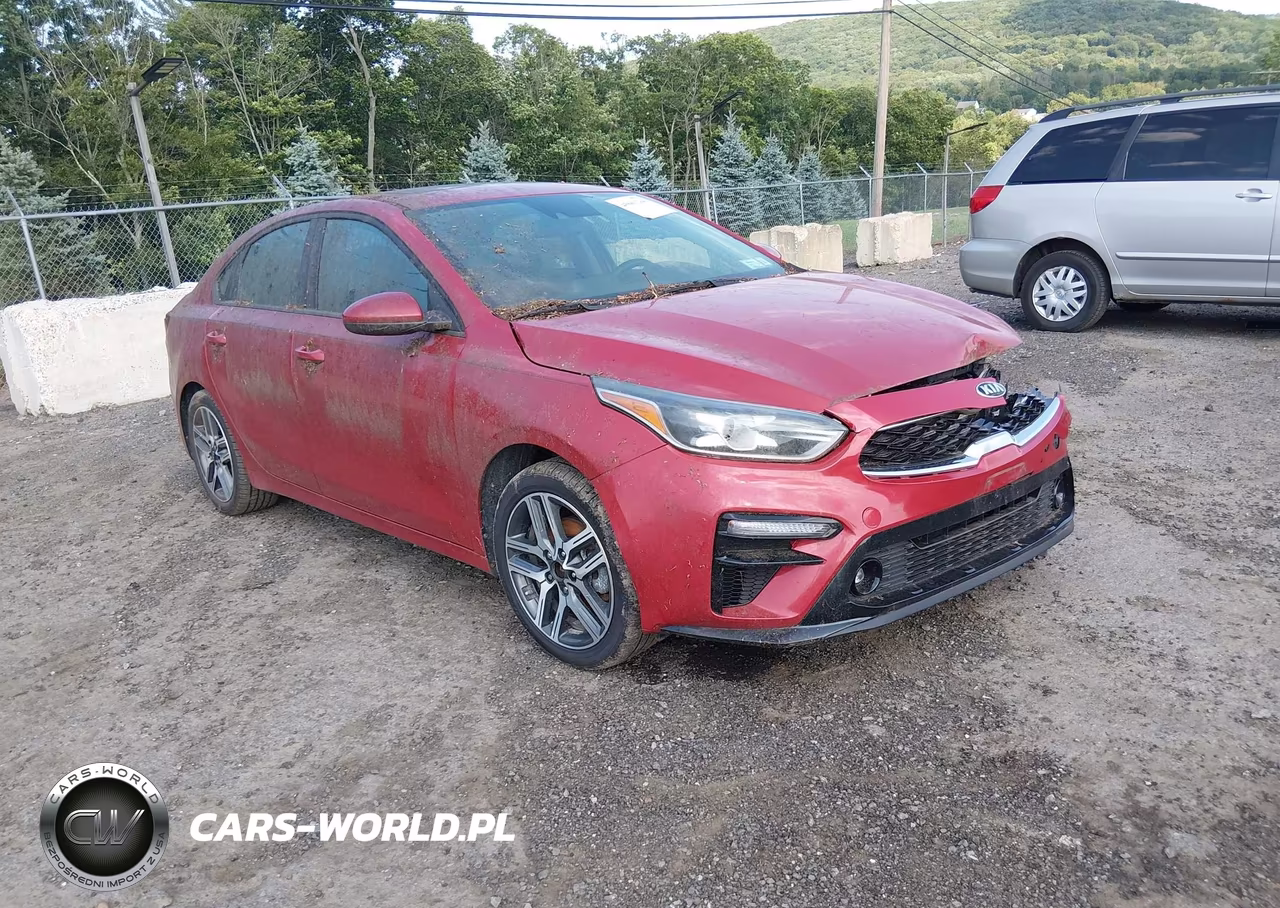 2019 Kia Forte S VIN:3KPF34ADXKE007896 - 1